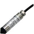 GLB, WL450-003 Level Transmitter, 0-3' Range, 25' cable included